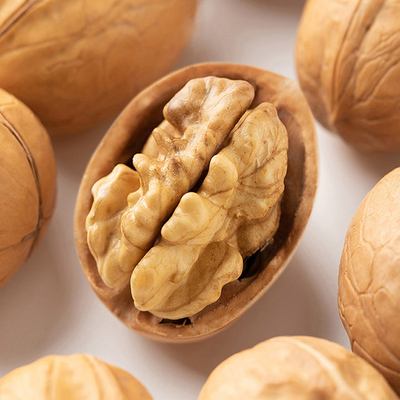 Comparative Analysis Report of Chinese Xinjiang Walnuts and European and American Walnuts