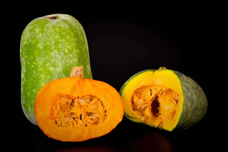 The growth process of pumpkin