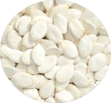 Introduce snow white pumpkin seeds