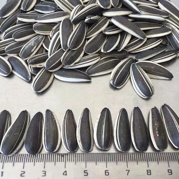 Sunflower seed size standard