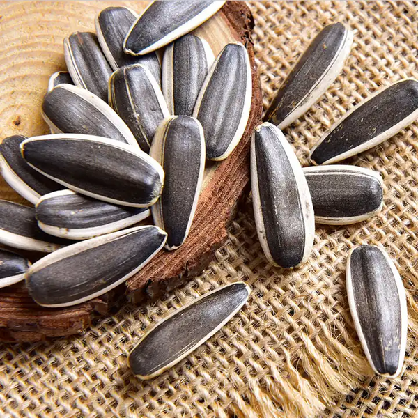 Sunflower seed market research and analysis