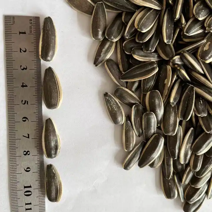 When it comes to sunflower seeds, there are various varieties to choose from