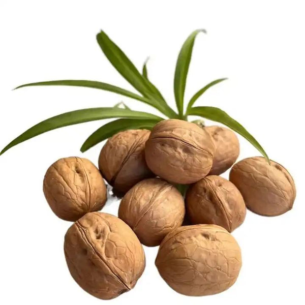 How to choose high-quality walnuts?