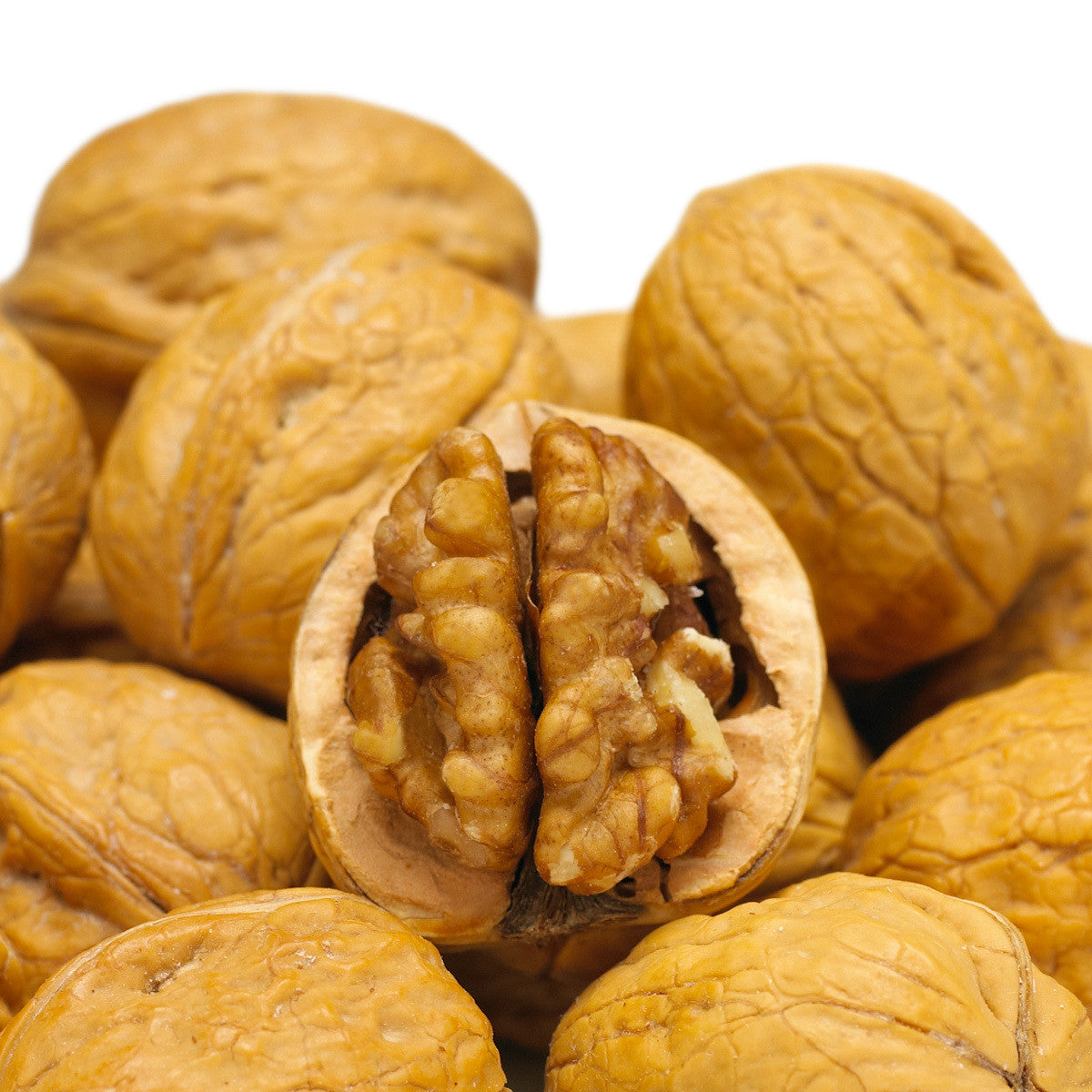 Walnut sales data analytics report in the North American market