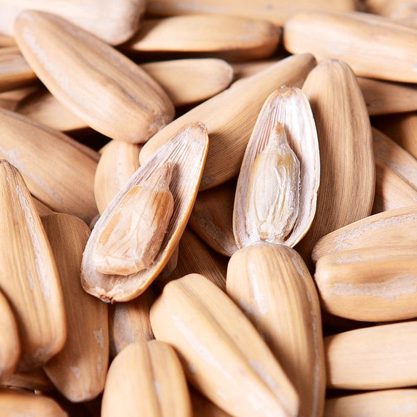 Are sunflower seeds a cold food? - Lnnuts