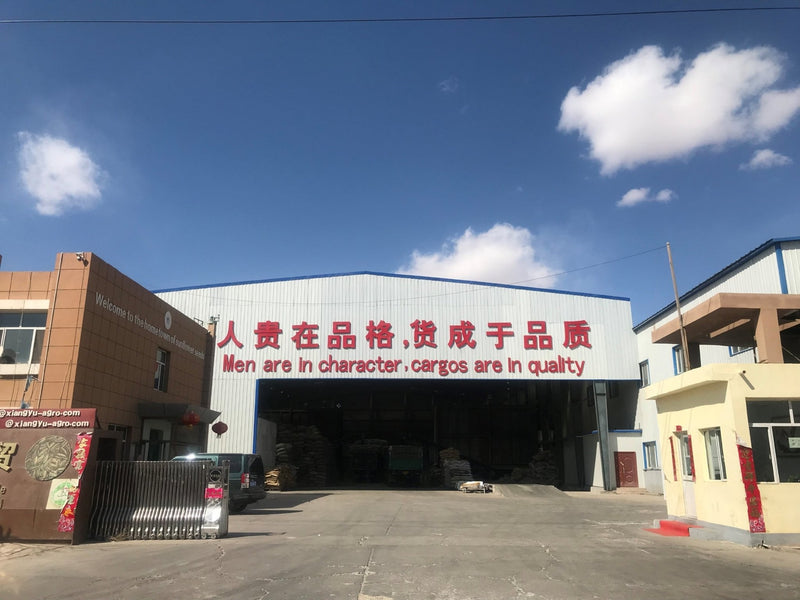 China's high-quality manufacturers of sunflower seeds, walnuts, pumpkin seeds and nuts for import and export-Inner Mongolia Li Niu Niu Food Technology Co., Ltd. - Lnnuts