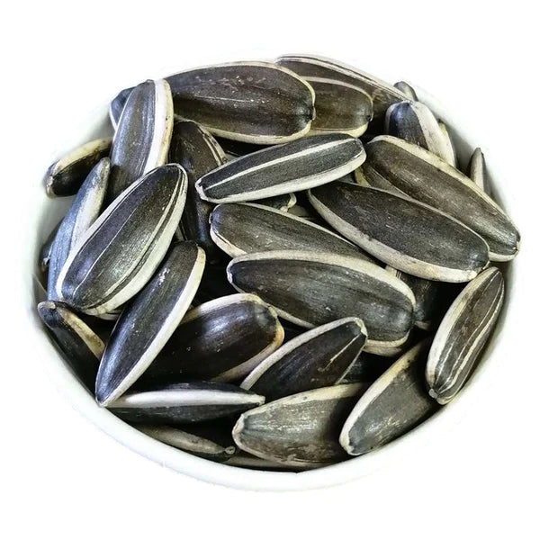 How to choose sunflower seeds?