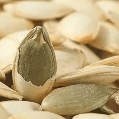 Nanliang White Melon Seeds Harvest - Lnnuts