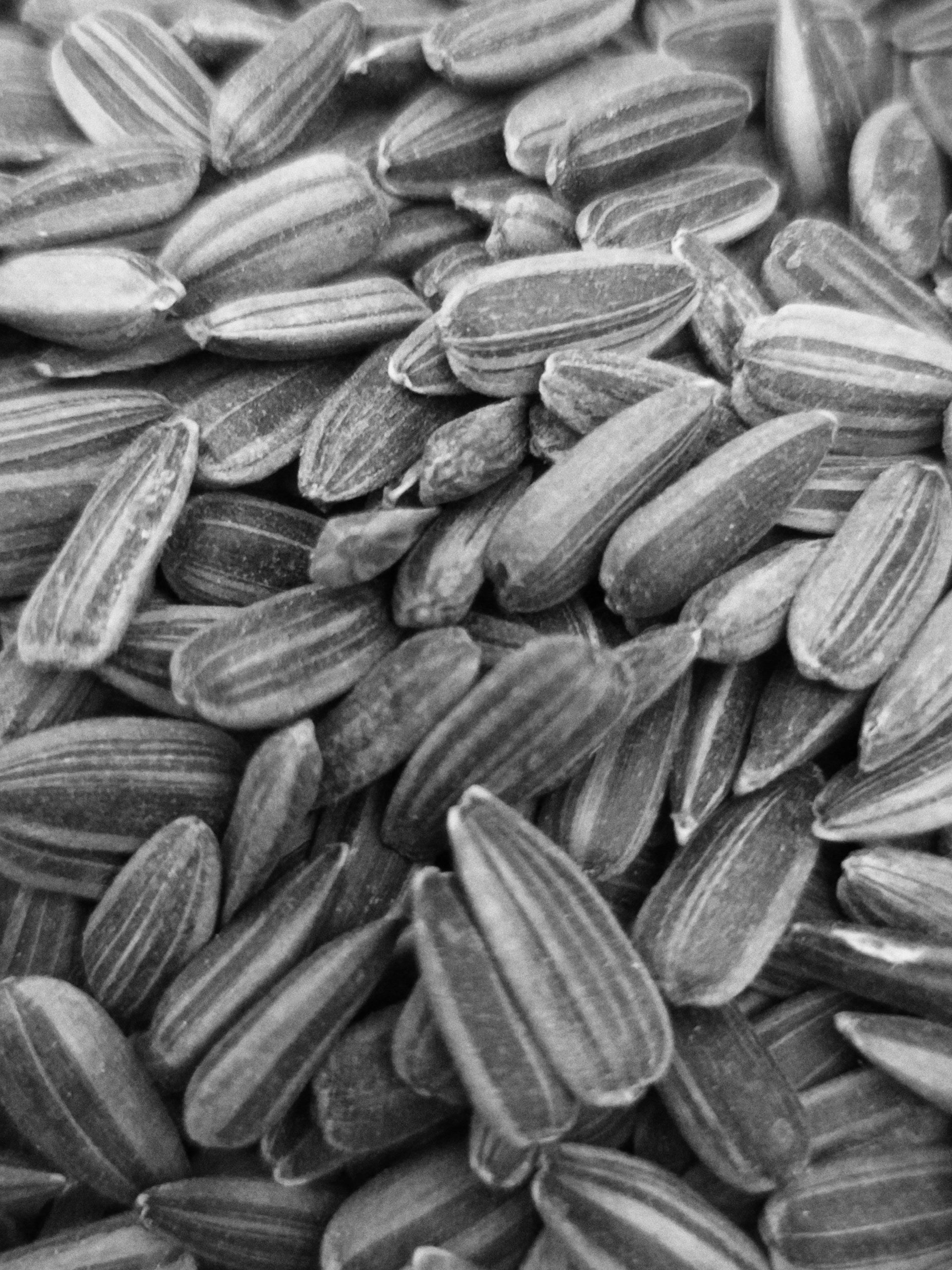 Lee Niu Niu sunflower seeds from China Best Factory