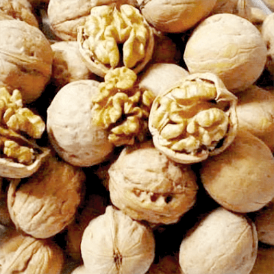 The walnut harvest is bumper, and the fruit farmers are smilin - Lnnuts