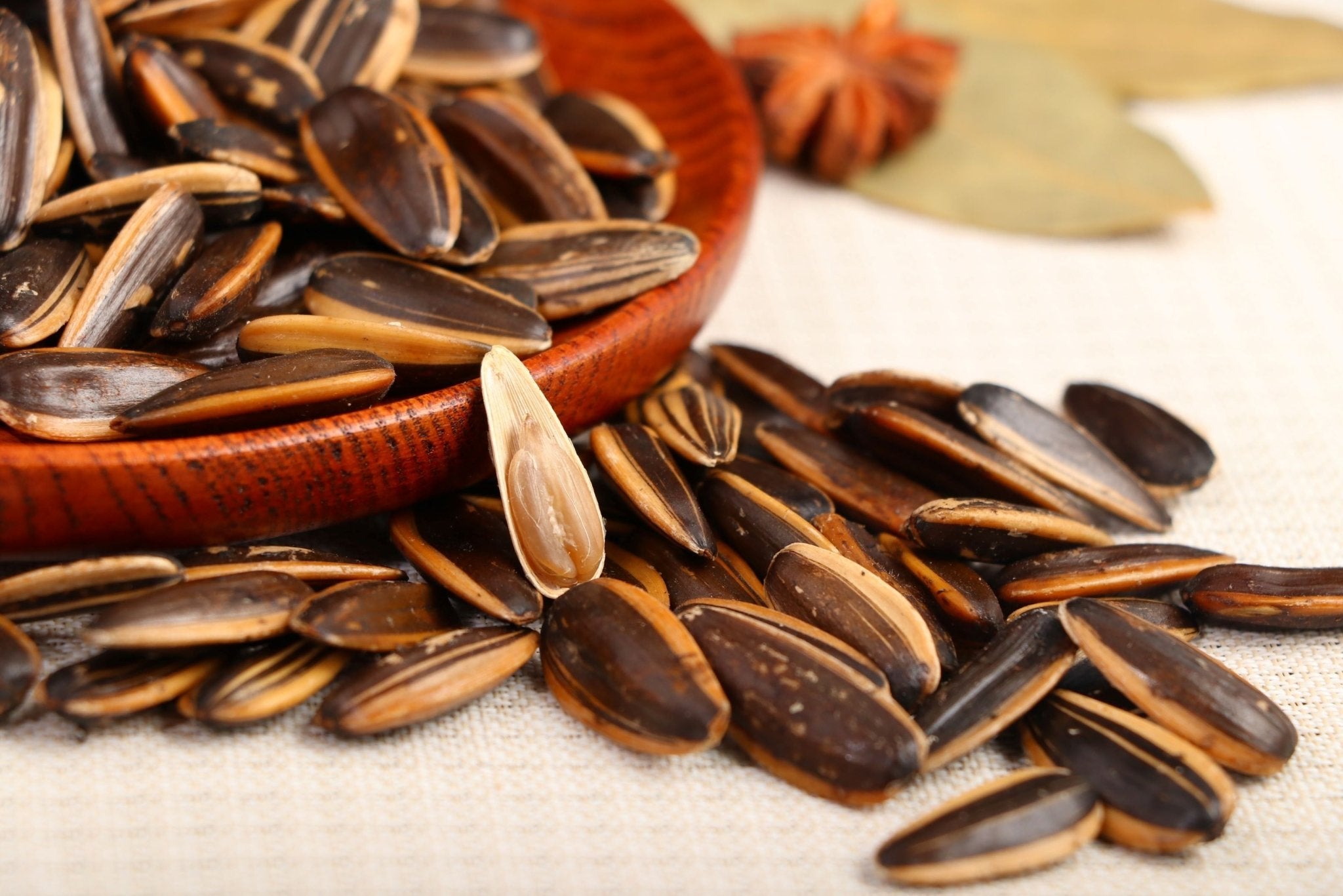 Therapeutic value of sunflower seeds - Lnnuts