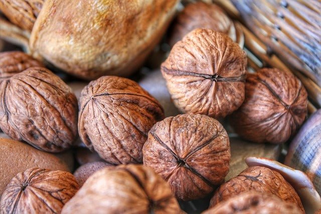 Why are 185 paper walnuts loved by the public? - Lnnuts