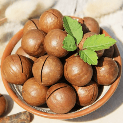 Yunnan Lincang macadamia nuts - Lnnuts