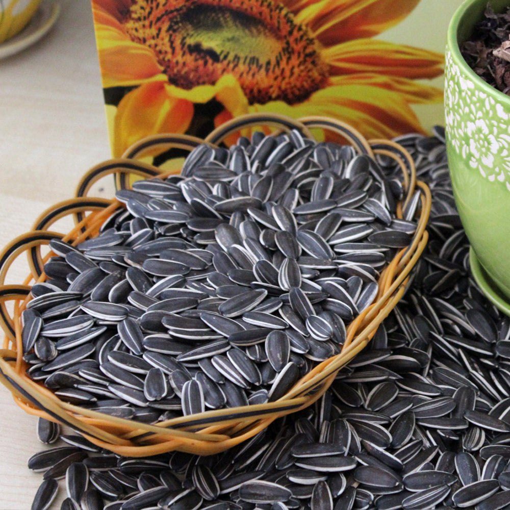 sunflower seeds