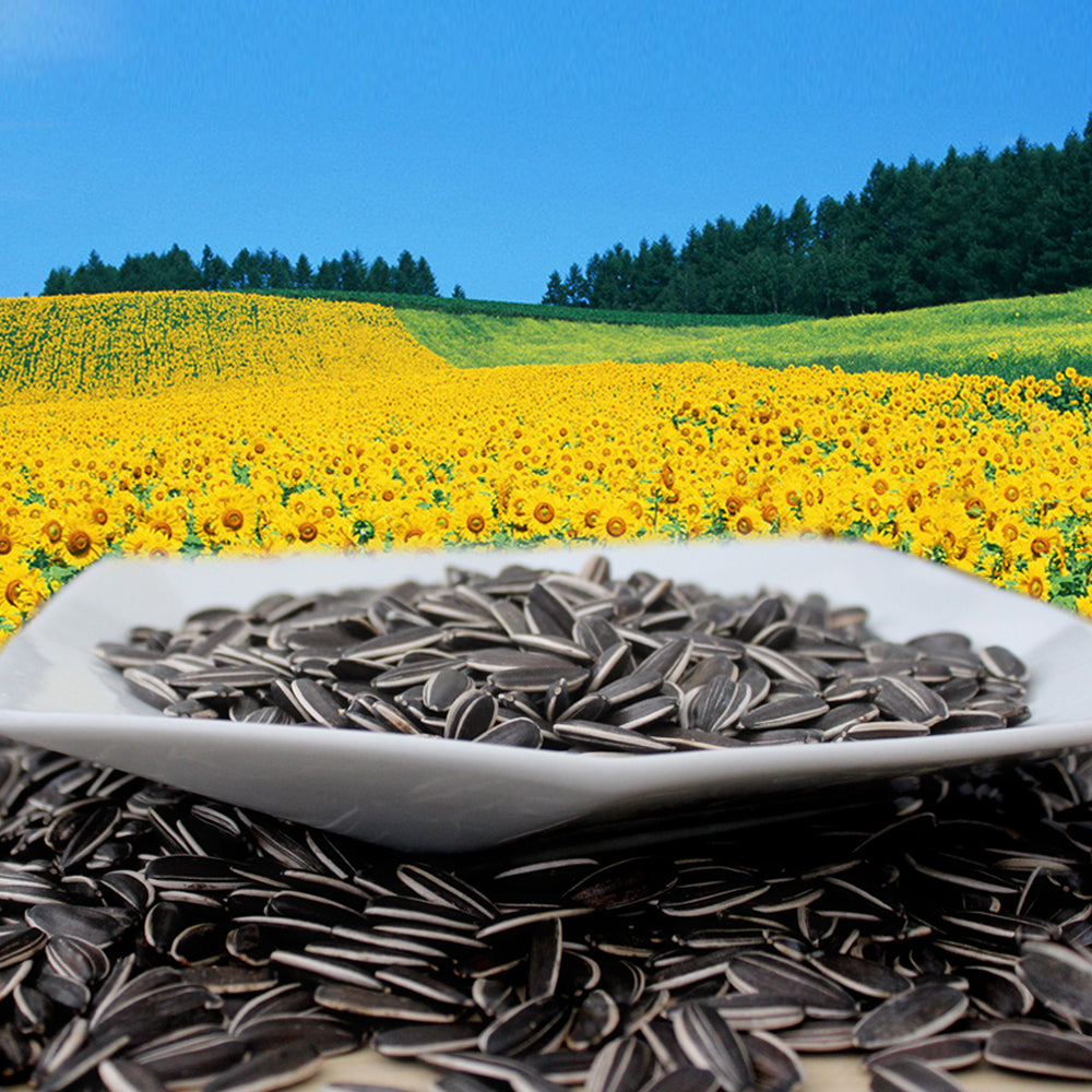 sunflower seeds