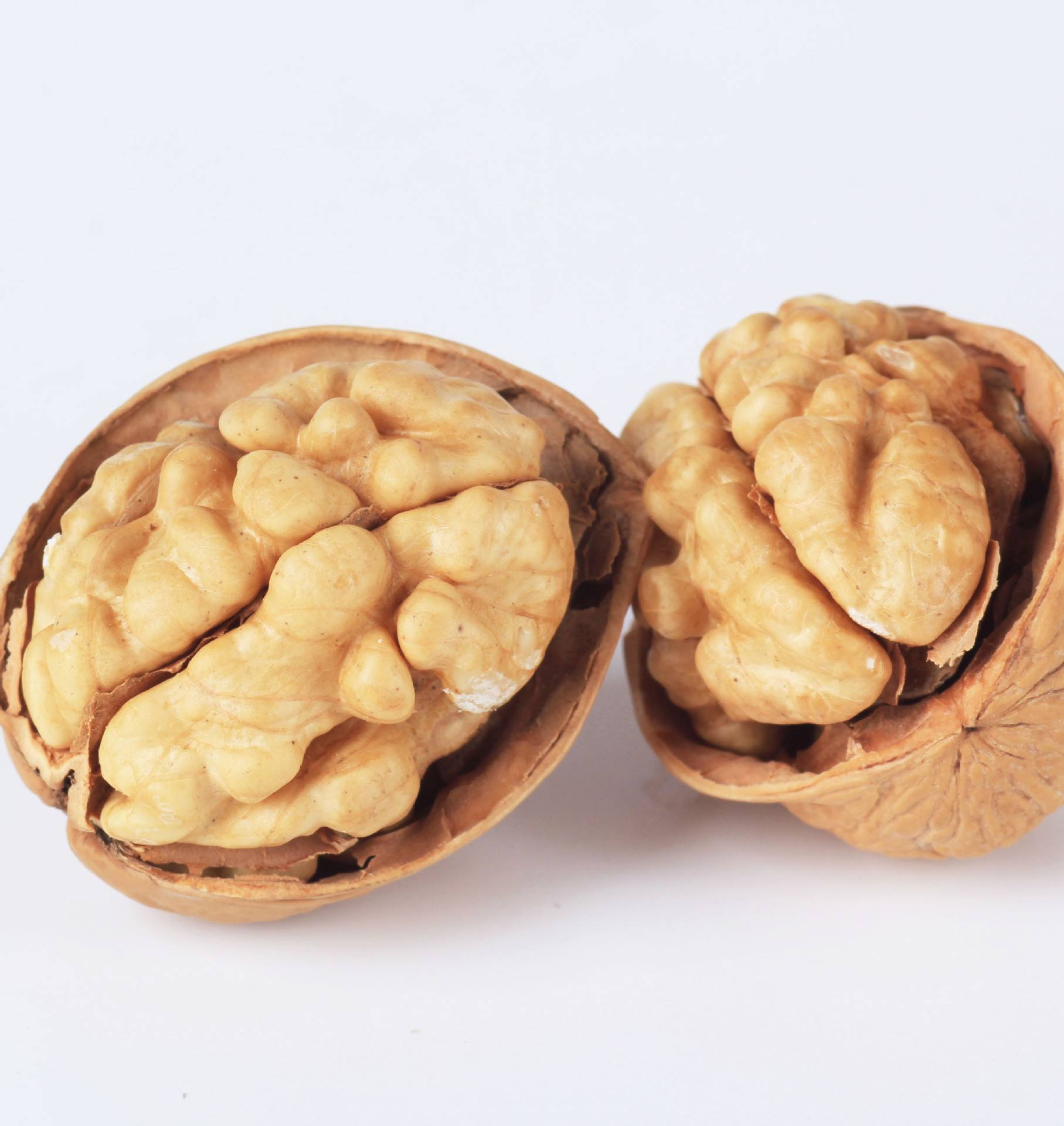 walnut kernels