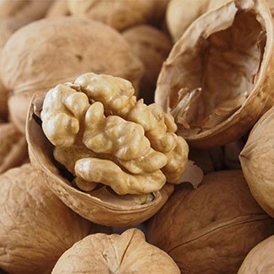 Chinese Chinese Raw 185 Paper WALNUTS In SHELL Exports Russia Delicious Light Brown 100% Natural Amazon’s best-selling products