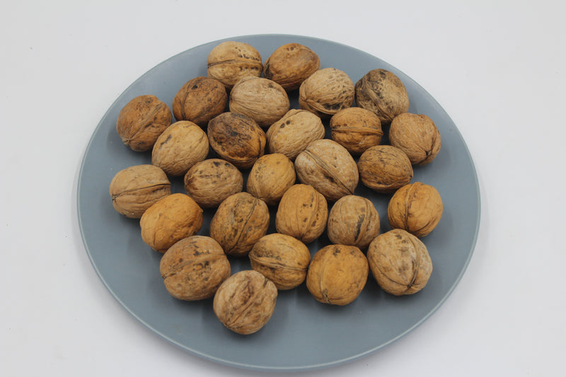 Light Halves Delicious Nut and Kernels China Origin Shelled And Unshelled Roasted Walnut