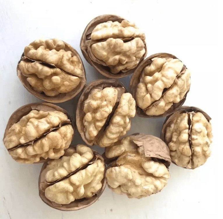  Walnuts in Shell, Jumbo, Fresh, Buttery Taste, Easy to Crack,  Natural Shells