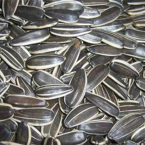 Whole Sunflower Seed in Shell Essential Vitamins & Minerals | Healthy Superfood Snack Vegan,  Non GMO, Gluten Free, Stellar Selenium, Mighty Magnesium 