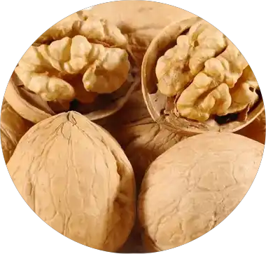 China origin wholesale walnuts with shell