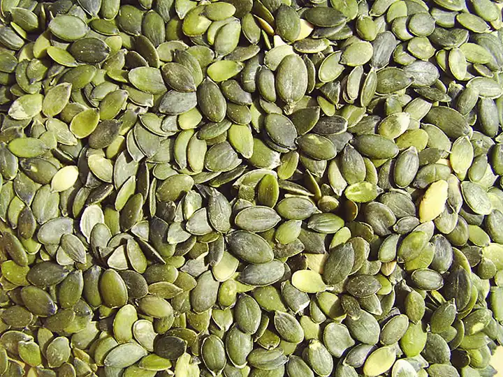 2024 years factory wholesale raw skinless pumpkin seeds pumpkin seeds kernels with best price