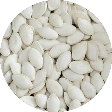 Raw Top Grade Pumpkin Seeds High quality and low price Factory Supply