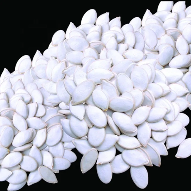 Non GMO Hybrid Mega Bulk Large Size Snow White Pumpkin Seeds Wholesale China Sunflower Seeds Raw Material for Oil Extraction