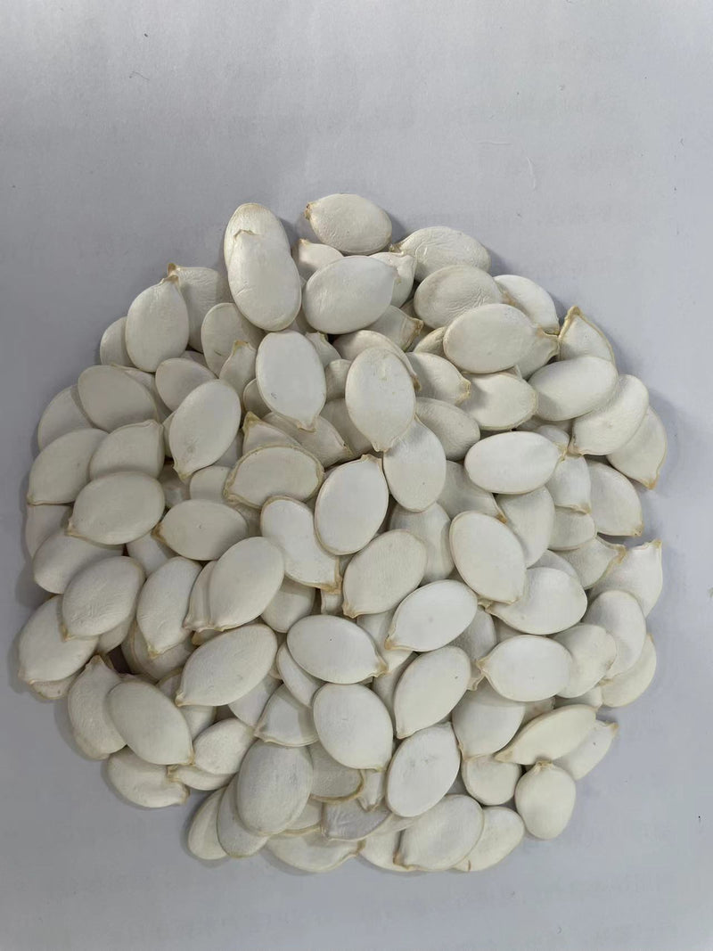 Raw Top Grade Pumpkin Seeds High quality and low price Factory Supply