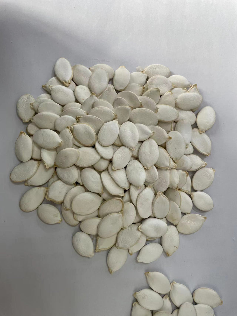 Raw Top Grade Pumpkin Seeds High quality and low price Factory Supply