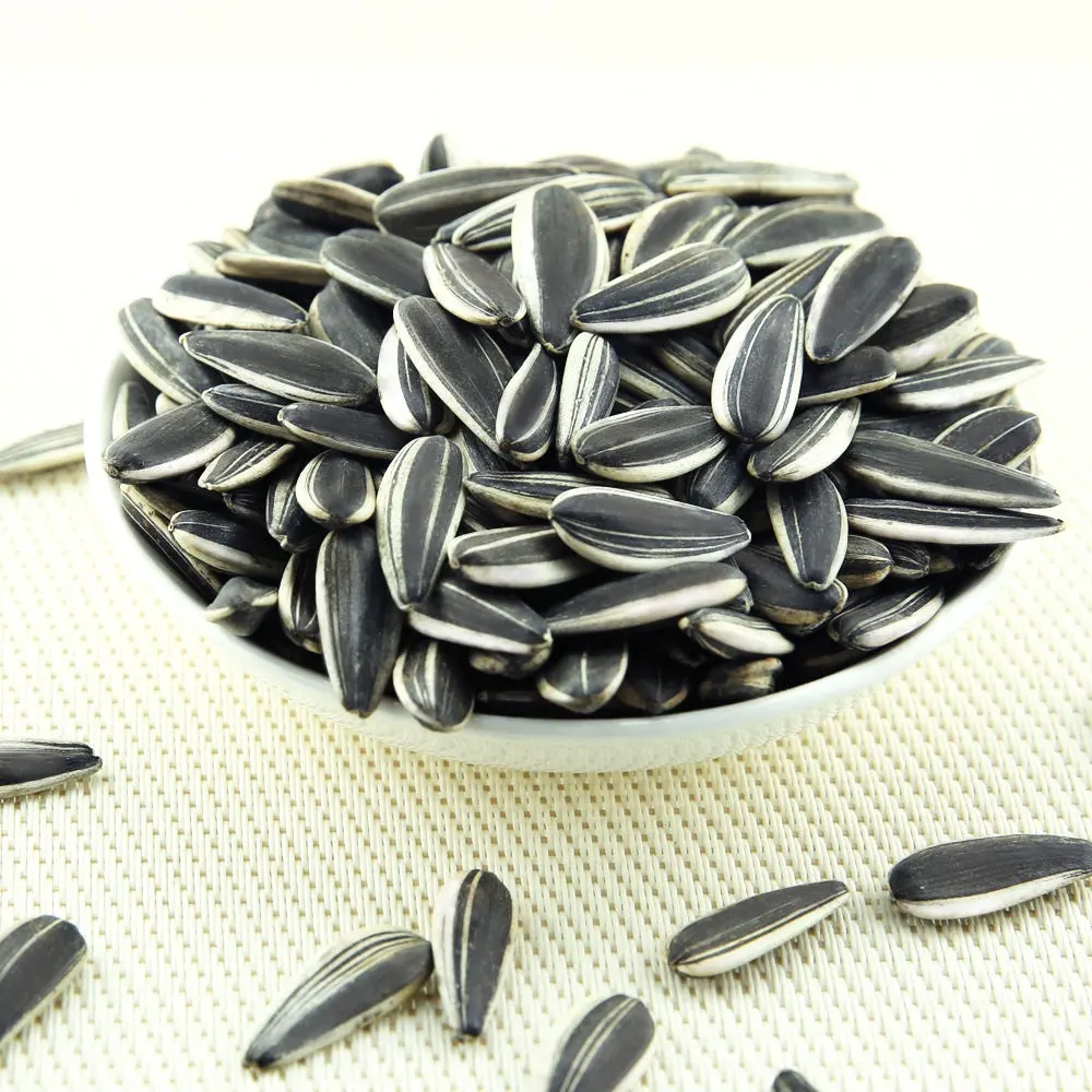 Raw Materials Price factory Supply  China raw sunflower seeds ready for loading