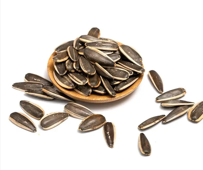 AL SHAEB Roasted & Salted Sunflower Seeds (In Shell), Fresh, and Delicious, Roasted by The #1 Roaster in Jordan