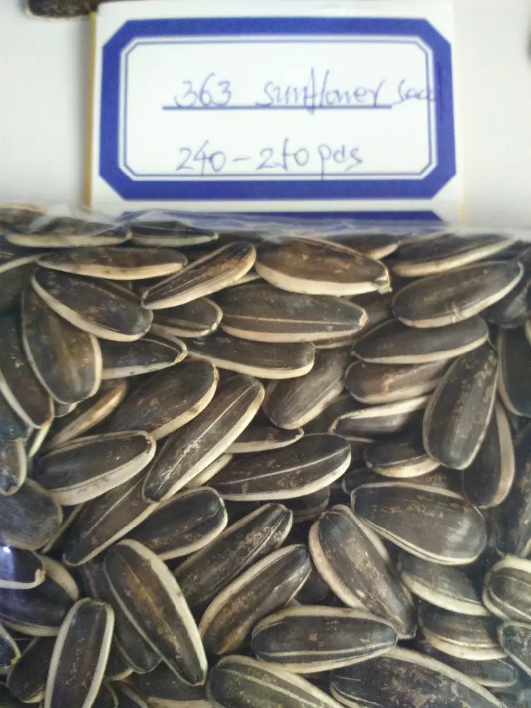 OEM ODM China Li Niu Niu Food Factory wholesale high-quality bulk sunflower seeds