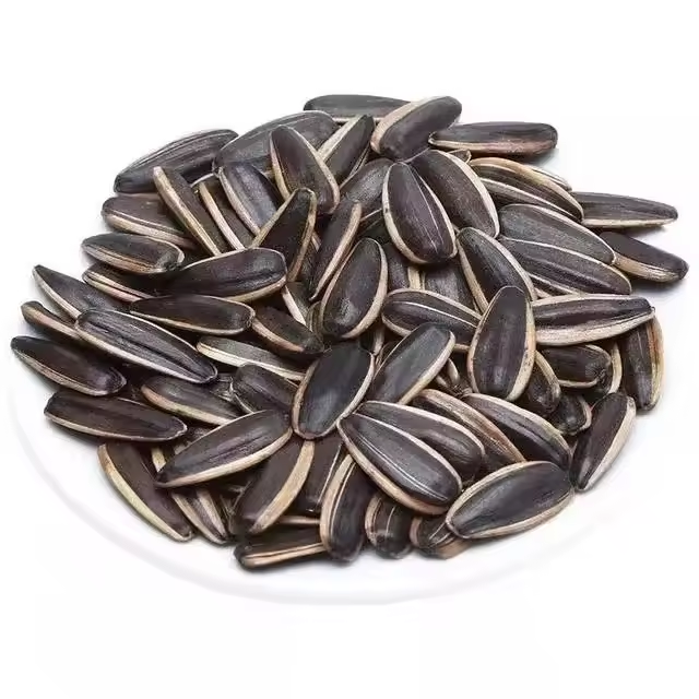 AL SHAEB Roasted & Salted Sunflower Seeds (In Shell), Fresh, and Delicious, Roasted by The #1 Roaster in Jordan