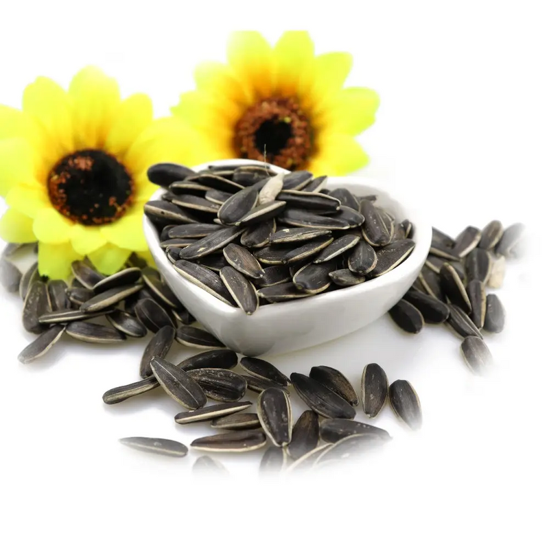 Sunflower Seeds From Inner Mongolia Factory direct High quality T5 sunflower seeds to eat