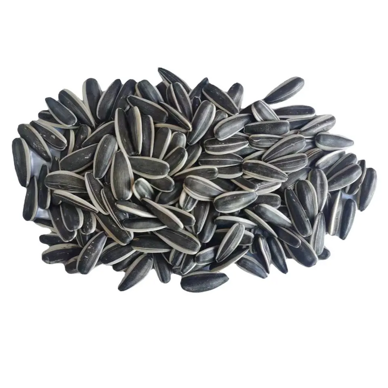 Healthy sunflower seeds for eating 20&25 kg bag