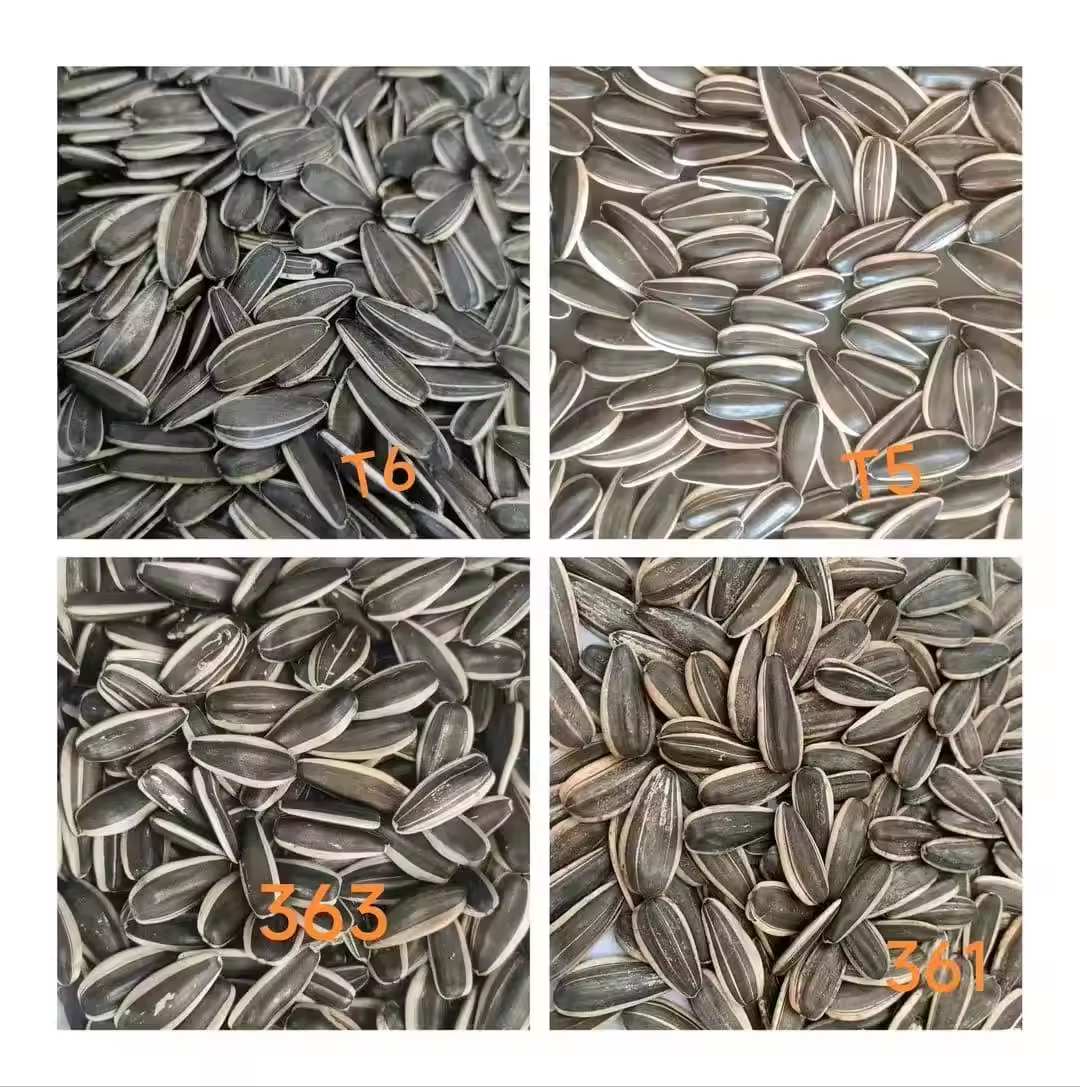 Bulk wholesale Sunflower Seeds Kernel/Sunflower Seeds from Inner Mongolia Li Niu Niu Food