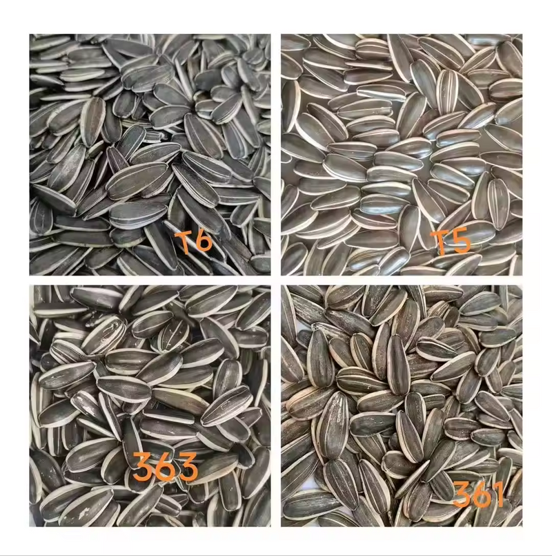 Bulk wholesale Sunflower Seeds Kernel/Sunflower Seeds from Inner Mongolia Li Niu Niu Food