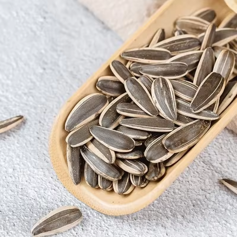 Wholesale China Non-GMO Best Quality Cheap Price Organic Raw Materials raw sunflower seeds