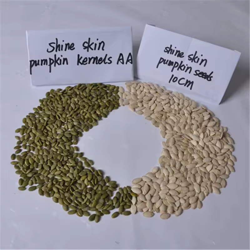 Raw Top Grade Pumpkin Seeds High quality and low price Factory Supply