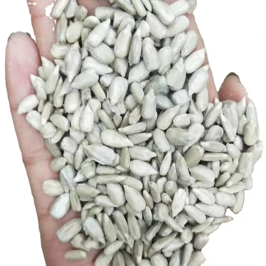 China Factory supply bulk Dried and cool  Sunflower seeds sunflower kernel