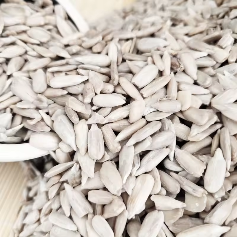 sunflower kernel 2024 years China Factory supply bulk Dried and cool  Sunflower seeds