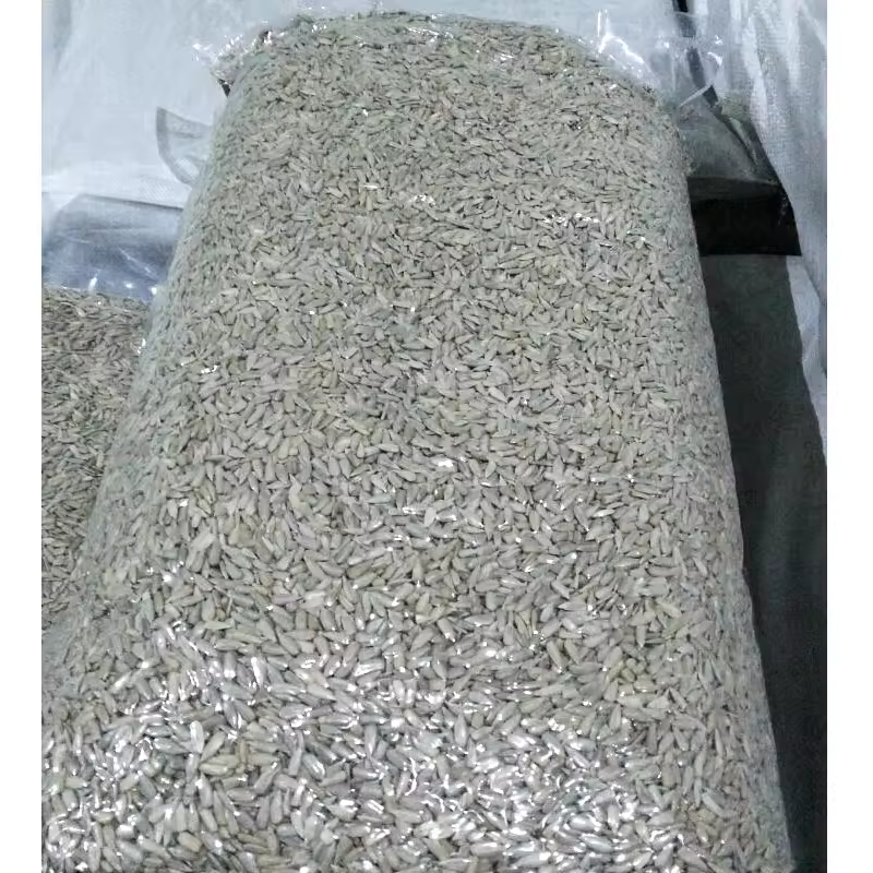 Inner Mongolia Wholesale Chinese Non GMO High Quality Good Price Organic Raw 363 Sunflower Seeds kernels