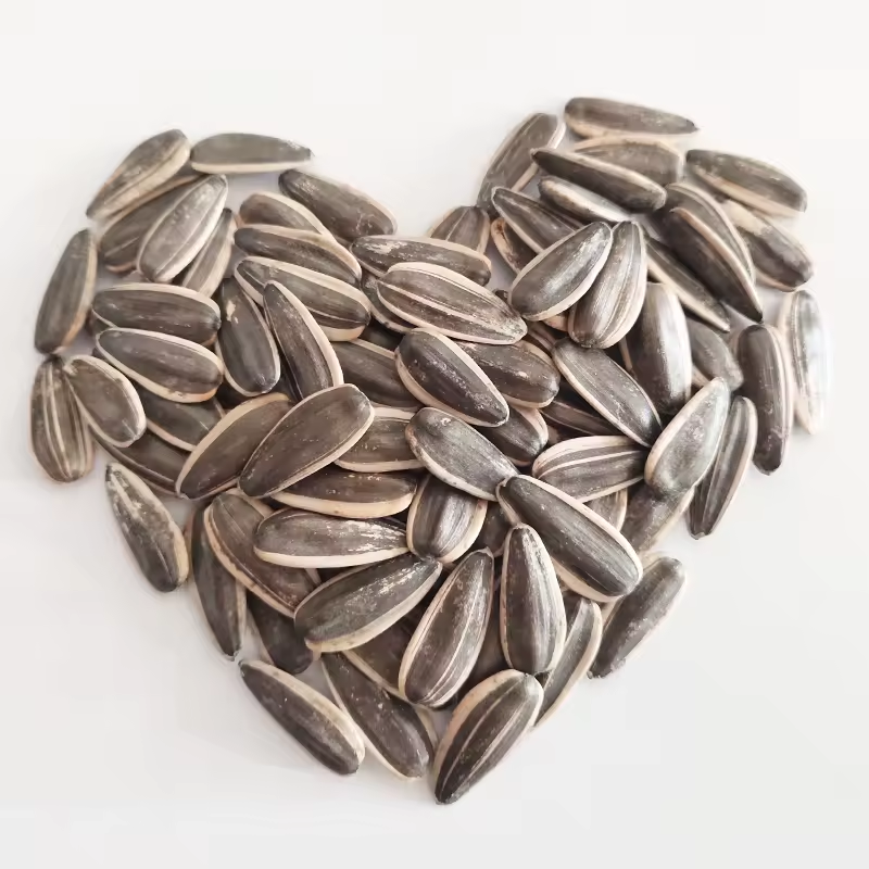 2024 years factory wholesale raw skinless pumpkin seeds pumpkin seeds