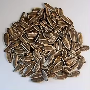 Bulk wholesale Sunflower Seeds Kernel/Sunflower Seeds from Inner Mongolia Li Niu Niu Food