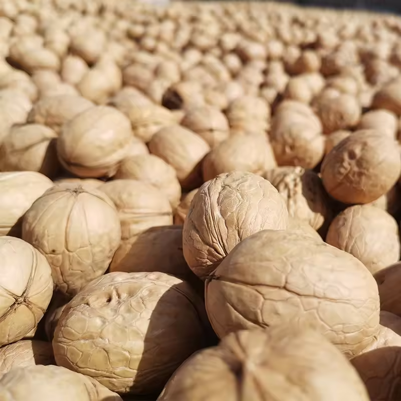 OEM ODM China Li Niu Niu Food Factory wholesale Top Quality Export Walnut Best Price Raw Dry Fruits Washed Walnuts