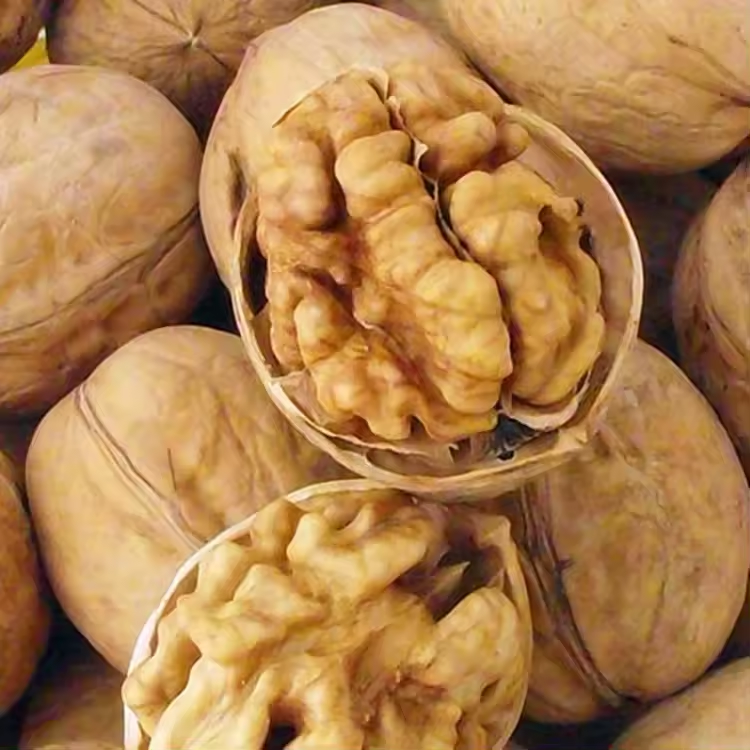 China Li Niu Niu Food Factory wholesale Top Quality Export Walnut Best Price Raw Dry Fruits Washed Walnuts