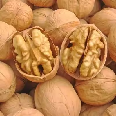 OEM ODM China Li Niu Niu Food Factory wholesale Top Quality Export Walnut Best Price Raw Dry Fruits Washed Walnuts