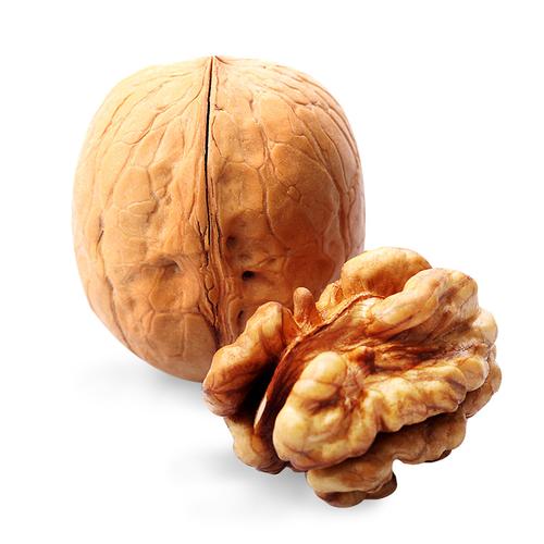 walnut