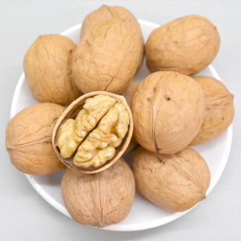 walnut